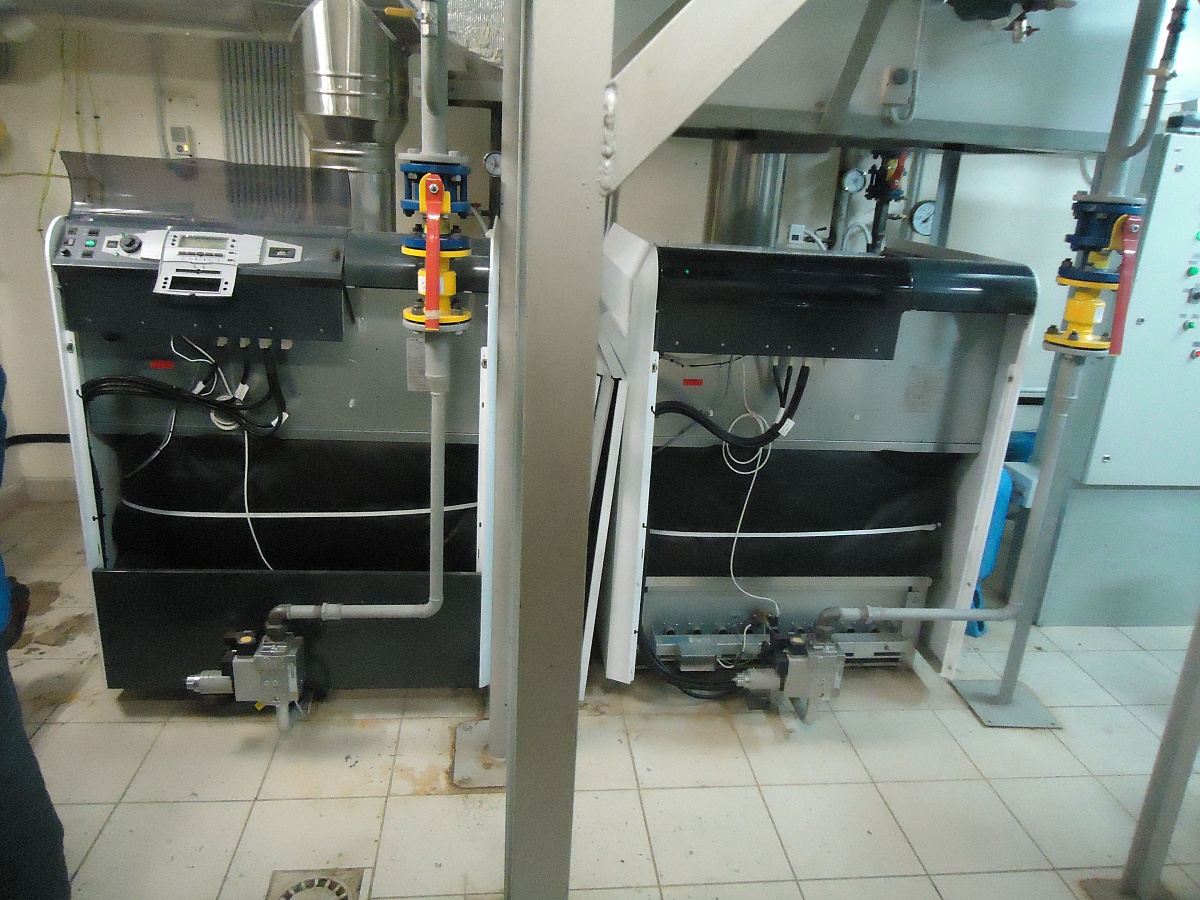 Автосалон Renault